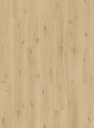 ac2b57c7295bdf5e97b15cdfbec6be4d