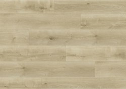 aspc20243-0-1152x812