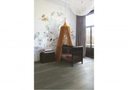 aspc20244-1-1152x812