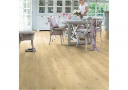 bacl40018-2-1152x812