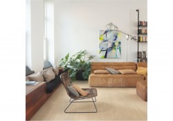 bacl40032-6-1152x812