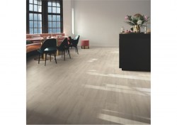 bacl40158-2-1152x812