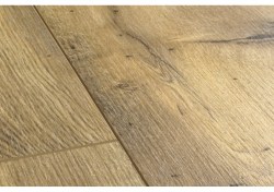 bacp40029-1-1152x812