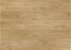 bagp40039-0-1152x812