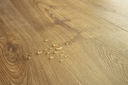 ffcbce40d7d359a5d61fcca73a063eb5