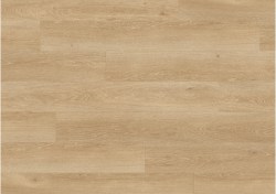 pucl40081-0-1152x812