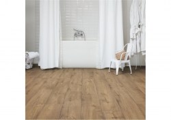 pucl40093-2-1152x812