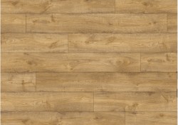 pucl40094-0-1152x812