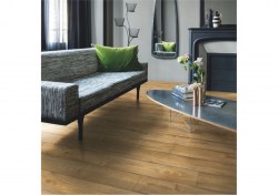 pucl40094-2-1152x812